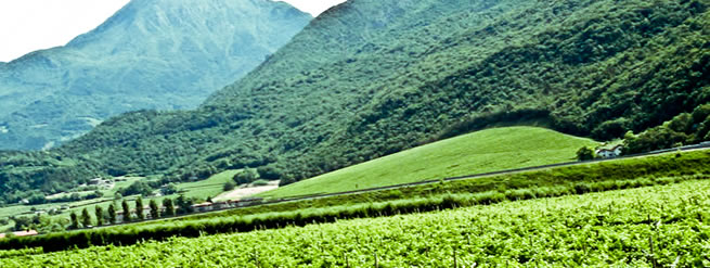panorama della campagna